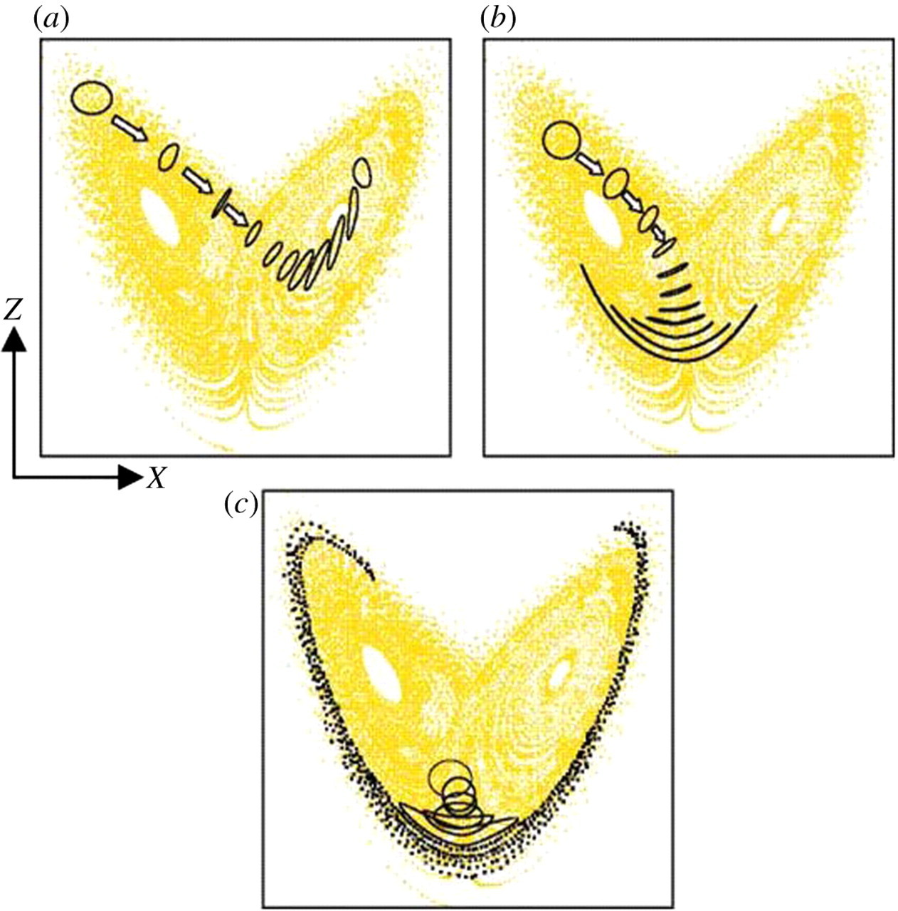 Error growth on the Lorenz attractor (Slingo and Palmer 2011).
