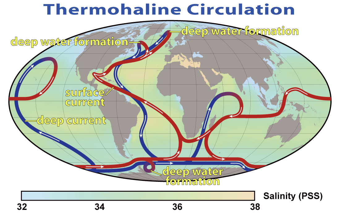The thermohaline "conveyor belt" circulation of the world ocean. Cold dense water sinks in the North Atlantic and flows along the abyss; it returns to the surface in the tropical upwelling regions. The conveyor takes roughly a thousand years to complete a full loop. Quantifying the circulation numerically -- something Bryan's rigid-lid models made possible for the first time -- is how we know that it has weakened measurably since 1980. Photo: Robert Simmon / NASA Earth Observatory (public domain).